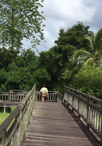 Loagan Bunut National Park